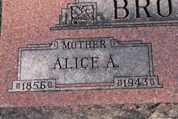 Alice Ann Brown 