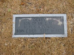 Dewey Downs 