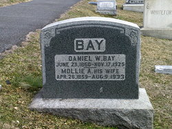 Daniel W Bay 