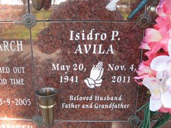 Isidro P. Avila 