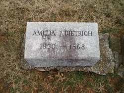 Amelia J Dietrich 