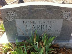 Mary Frances “Fannie” <I>Teasley</I> Harris 