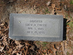 Lucy V Carter 
