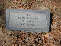 Walter A Carter 