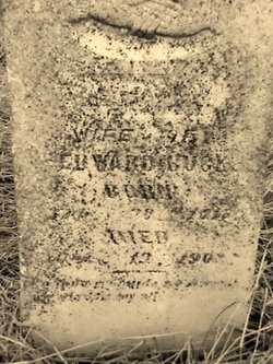 Mary Anne <I>Venters</I> Buck 