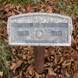 Betsey Sophia <I>Worcester</I> Woodward 