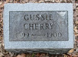 Gussie Cherry 