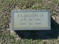 Americo George Allegri Jr.