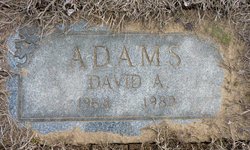 David Allen Adams 