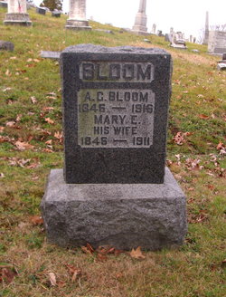 Adam G Bloom 