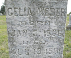 Celia <I>Dabner</I> Weber 