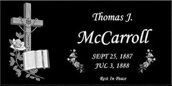 Thomas J McCarroll 