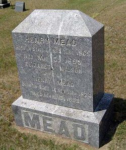 Henry Mead 