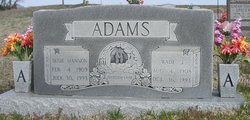 Susie Lee <I>Mannon</I> Adams 
