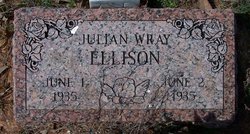 Julian Wray Ellison 