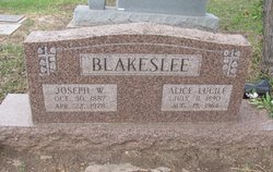 Joseph William Blakeslee 