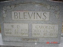 Ellen Caroline “Caroline” <I>Butler</I> Blevins 