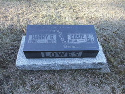Harry G Lowes 