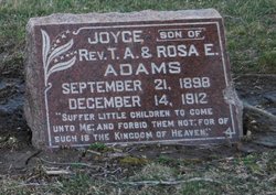 Joyce Adams 