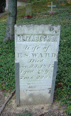 Elizabeth D Ward 