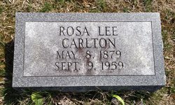 Rosa Lee <I>Champion</I> Carlton 