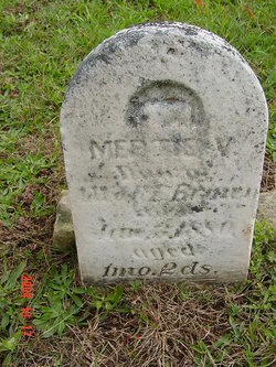 Mertie V. Brown 