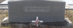 Abbie Adams 