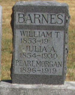 Julia Ann <I>Owens</I> Barnes 