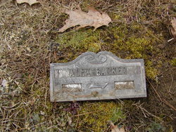 Alexander L Barker 