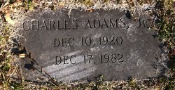 Charles Lee Adams Jr.
