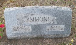 Amanda Jane <I>Fox</I> Ammons 