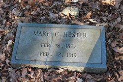 Mary C. <I>Allen</I> Hester 