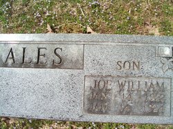 Joe William Ales 