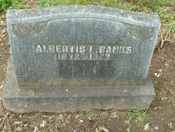 Albertis Leon “Albert” Banks 