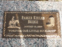 Parker Keegan Bridge 