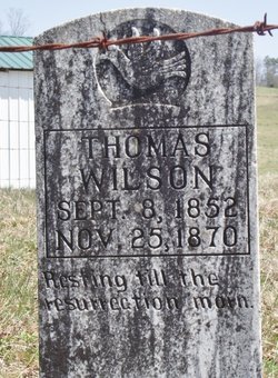 Thomas Wilson 