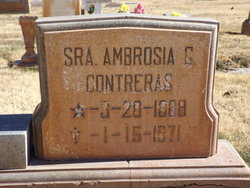 Ambrosia <I>Griego</I> Contreras 