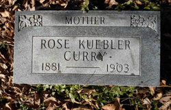 Rose <I>Kuebler</I> Curry 
