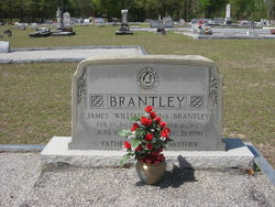 Anna Brantley 