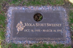 Viola <I>Stout</I> Sweeney 