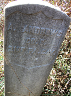 Albert F Andrews 