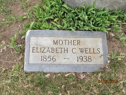 Elizabeth Catherine <I>Hill</I> Wells 