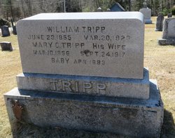 William Tripp 