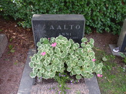 Anni Aalto 