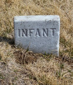 Infant Brant 