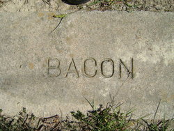 Unknown Bacon 