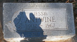 Jessie <I>Berryman</I> Antwine 