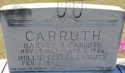 Mary Hawks “Mollie” <I>Eckles</I> Carruth 