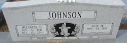 Acie Johnson Jr.
