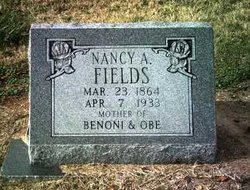 Nancy Ann Fields 